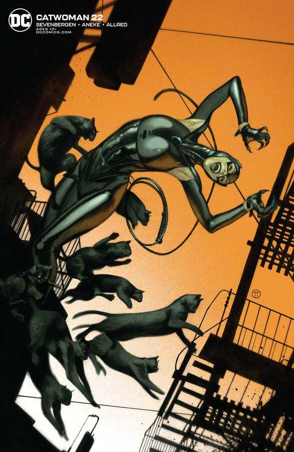DC Comics - Catwoman # 22 Tedesco Variant